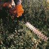 STIHL HS 45 HEGGENSCHAAR