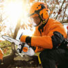 STIHL MS 151 TC-E MOTORZAAG