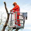 STIHL MS 201 TC-M MOTORZAAG