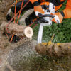 STIHL MS 201 TC-M MOTORZAAG