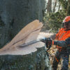 STIHL MS 661 C-M MOTORZAAG