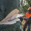 STIHL MS 661 C-M W MOTORZAAG