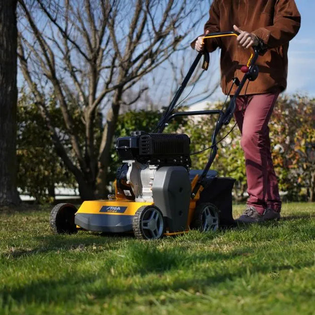 Wanneer en hoe kun je het beste verticuteren?