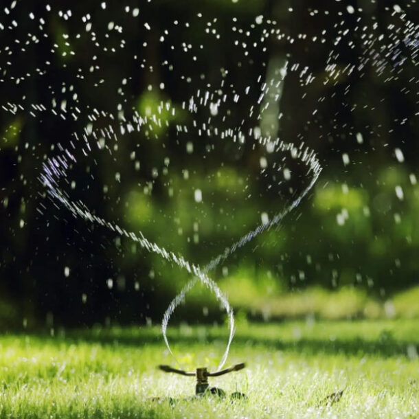 Gazononderhoud in de zomer