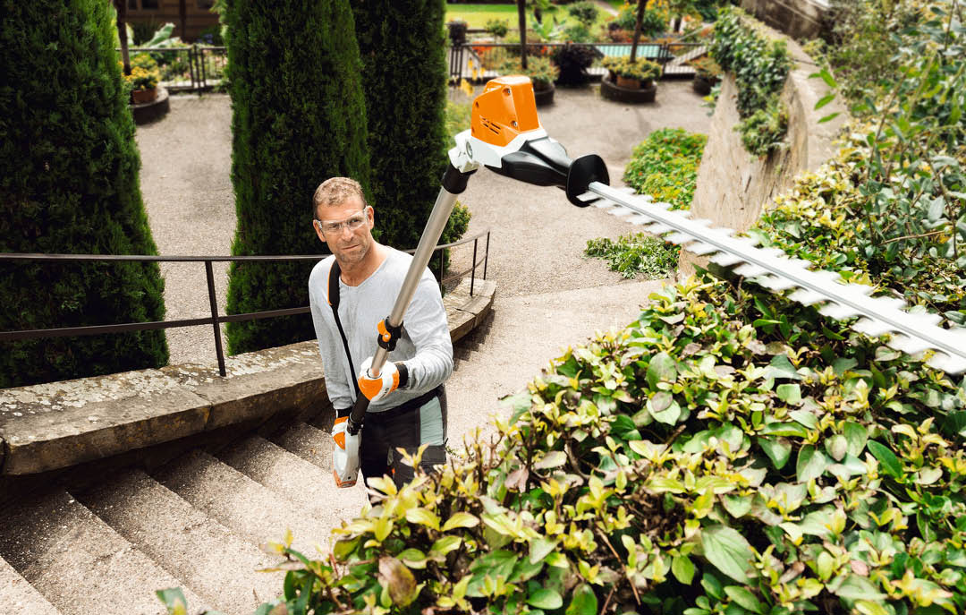 Heggenscharen op steel