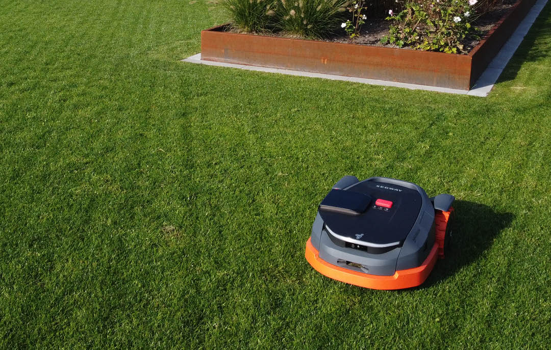 Robotmaaier tijdens de vakantie? Met deze 7 tips blijft je gazon perfect gemaaid